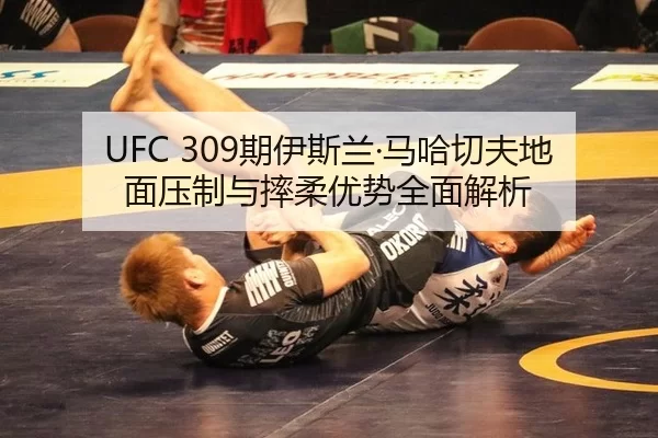 qi-yi-si-lan-ma-ha-qie-fu-di-mian-ya-zhi-yu-shuai-rou-you-shi-quan-mian-jie-xi-2-717.jpg