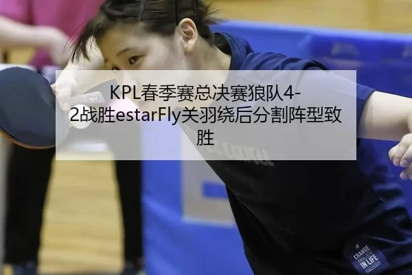 KPL春季赛总决赛狼队4-2战胜estarFly关羽绕后分割阵型致胜
